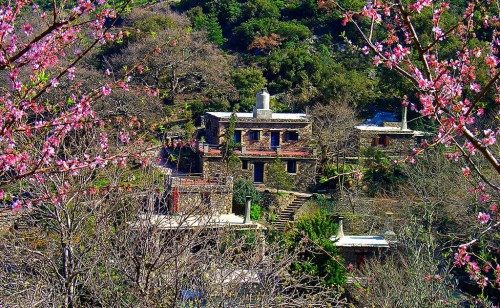 Μilia of Xania, a renovated medieval settlement